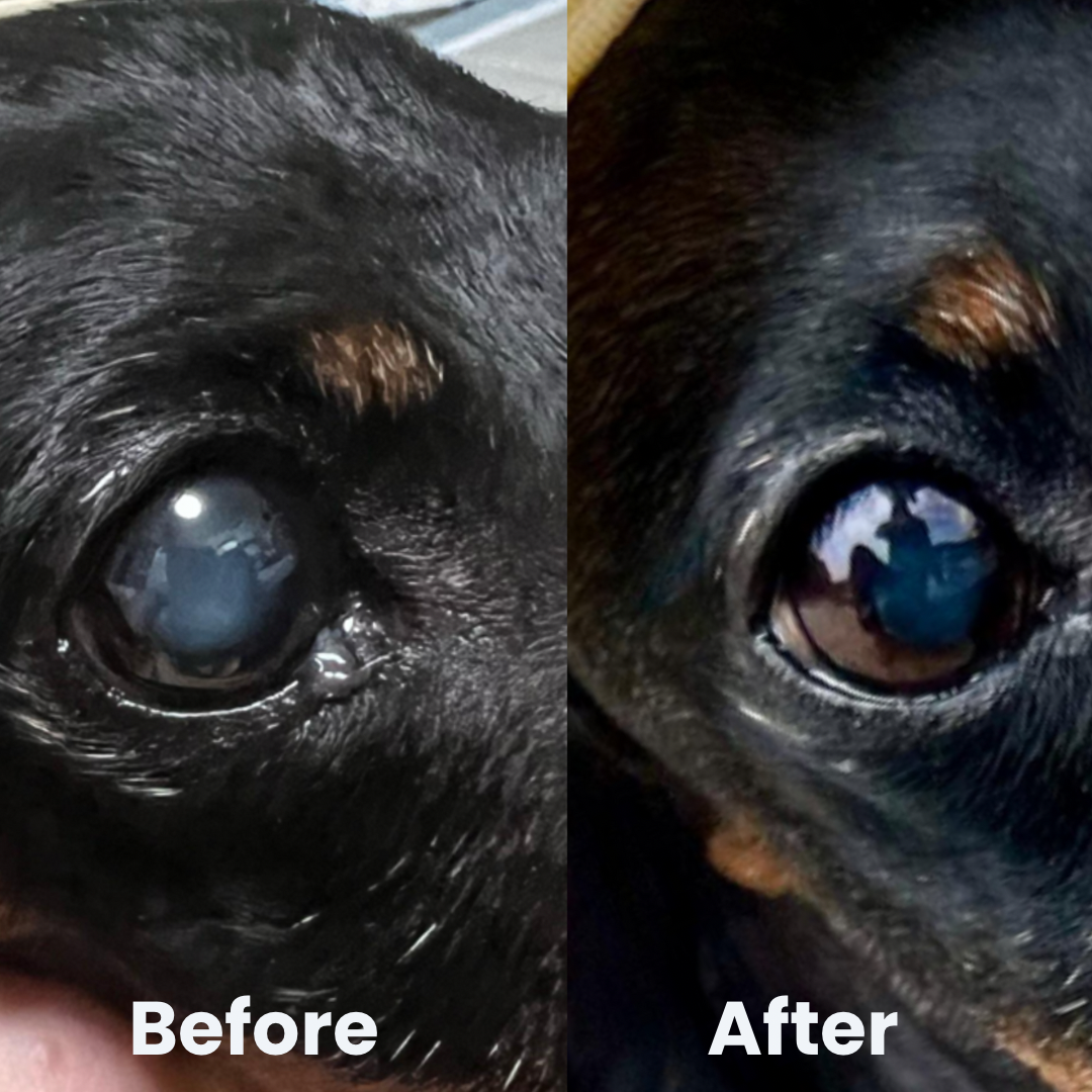 寵物天然眼藥水