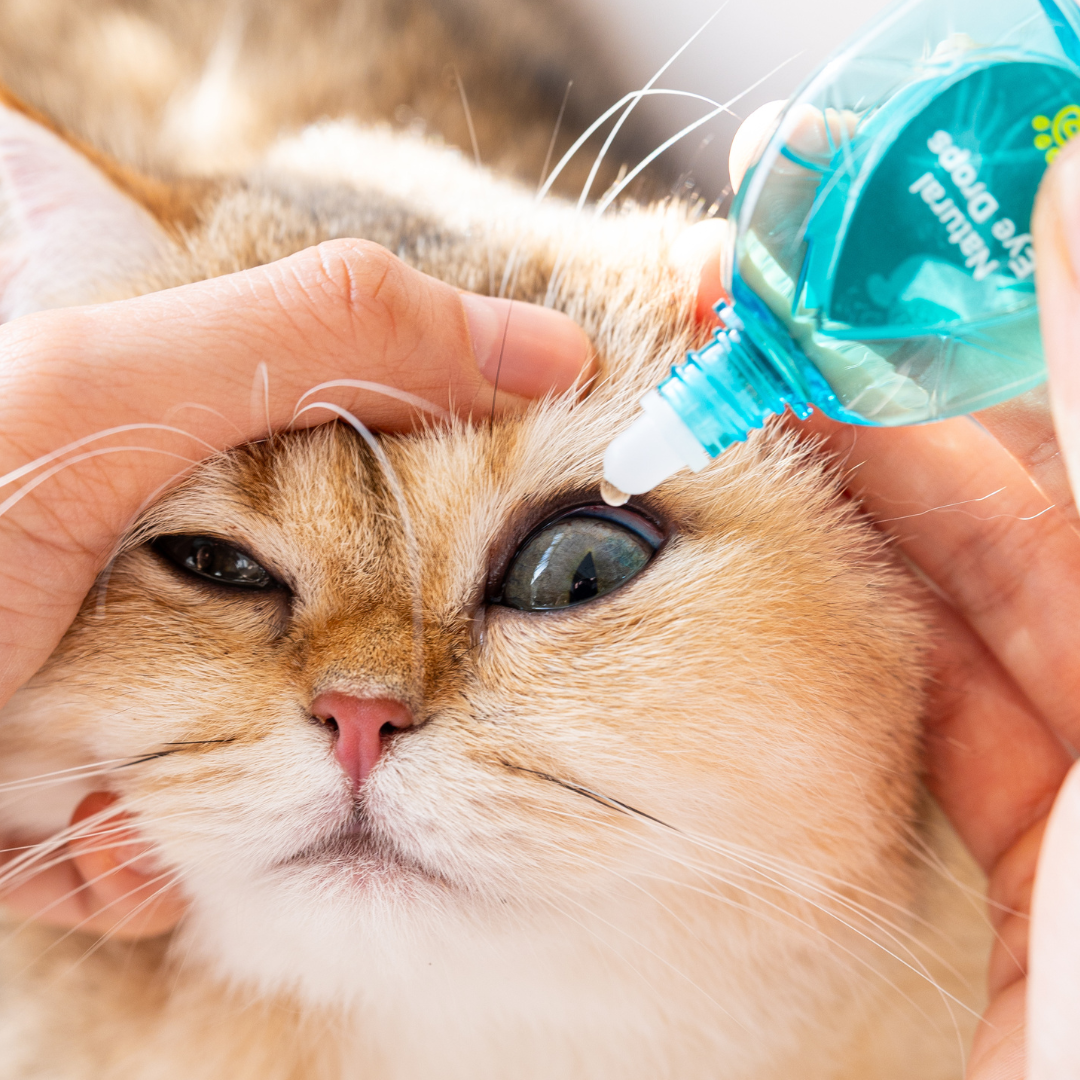 寵物天然眼藥水