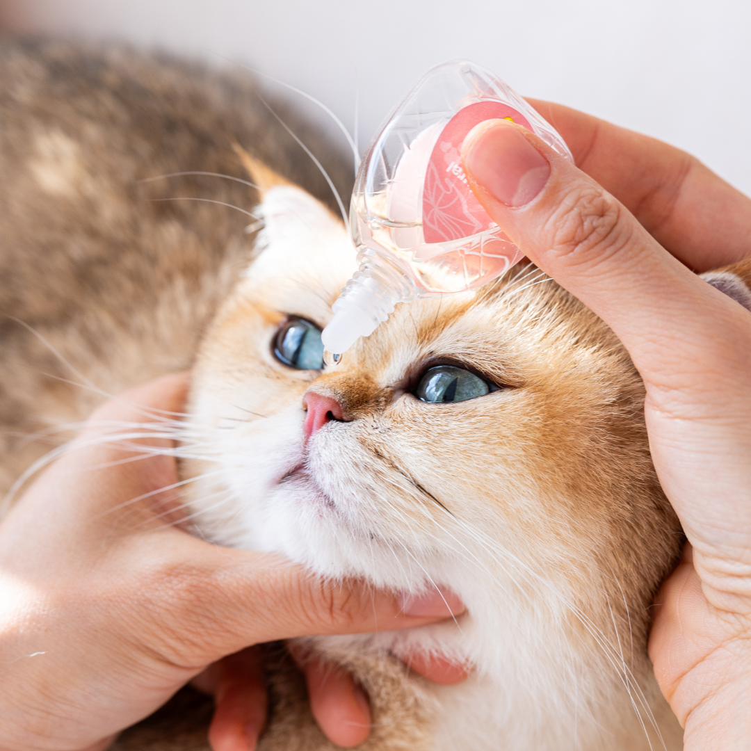 Natural Nasal Relief