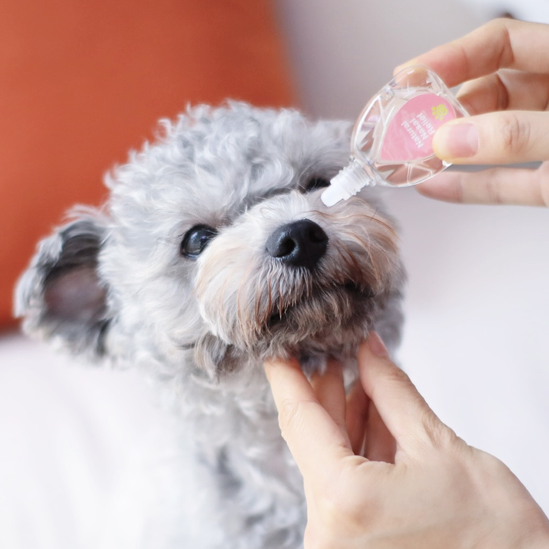 Natural Nasal Relief