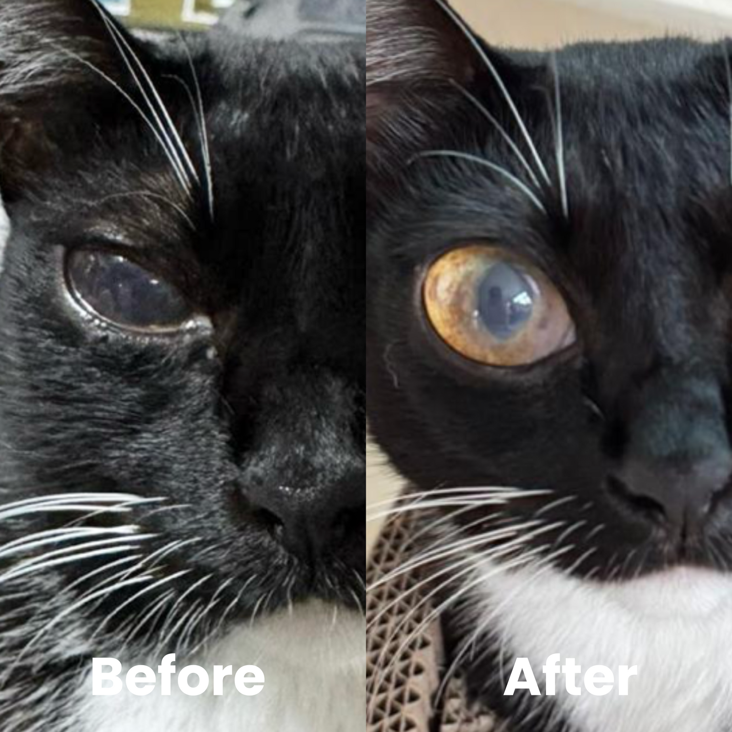 Natural Eye Drops
