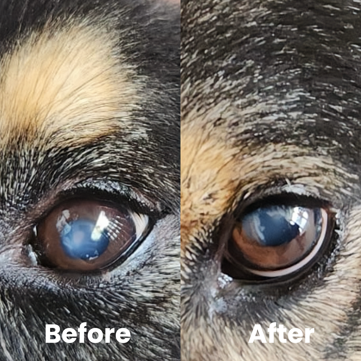 Natural Eye Drops