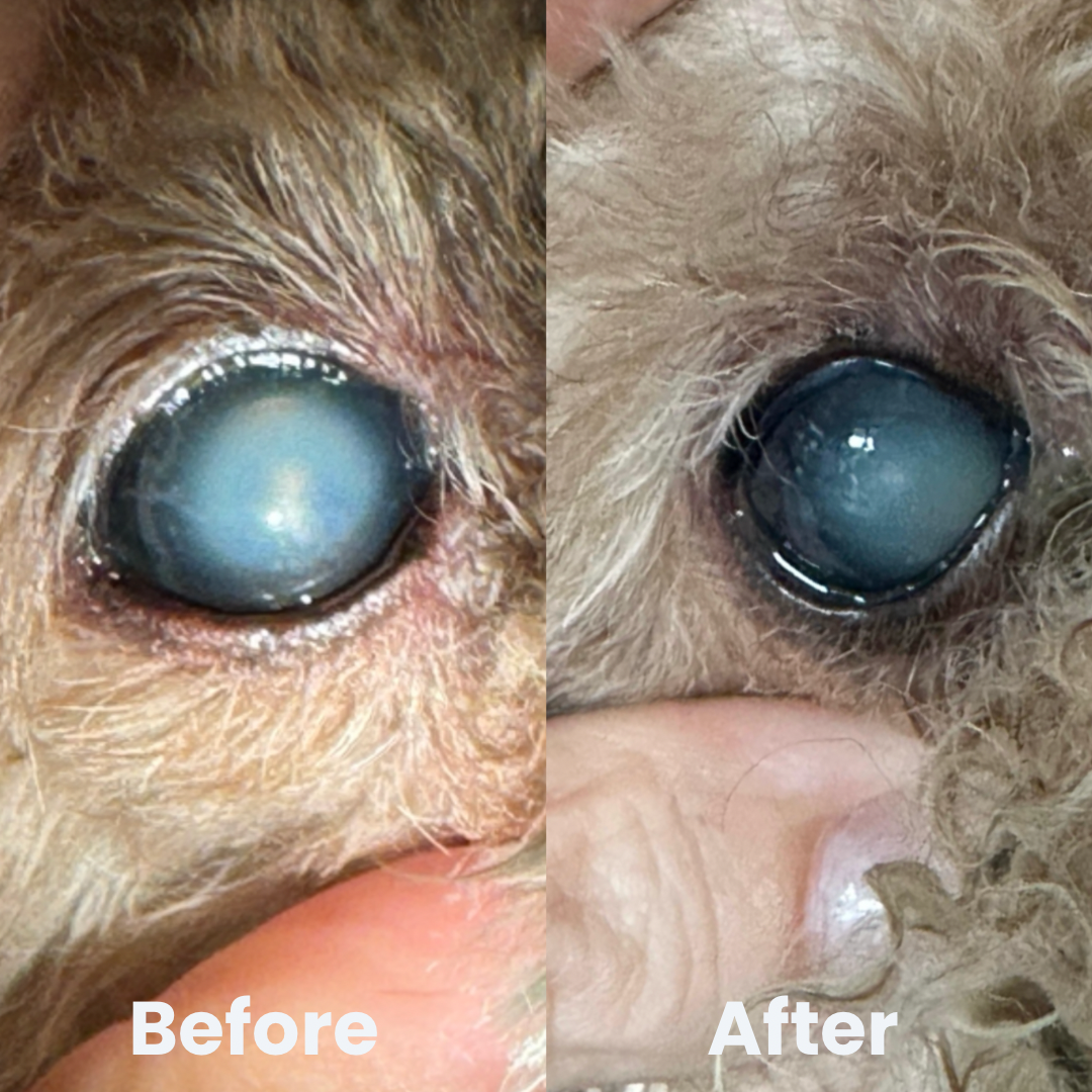 Natural Eye Drops